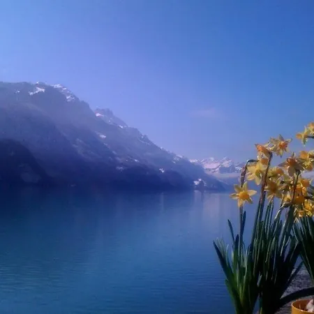 Apartment Al Porto Brienz (Bern)