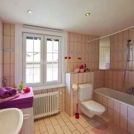 Apartment Al Porto Brienz (Bern)